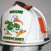 Hurricanes  Fire Helmet 